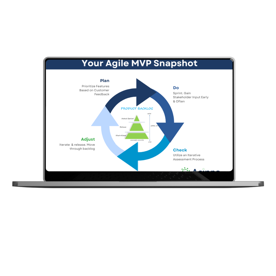 The agile MVP snapshot